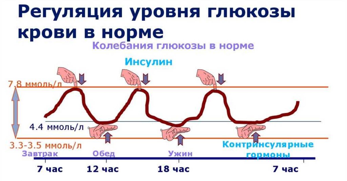 Голод после инсулина. Диаграмма сахара в крови здорового человека. Динамика уровня Глюкозы в крови у здорового человека. График уровень Глюкозы инсулина. График выработки инсулина суточный.