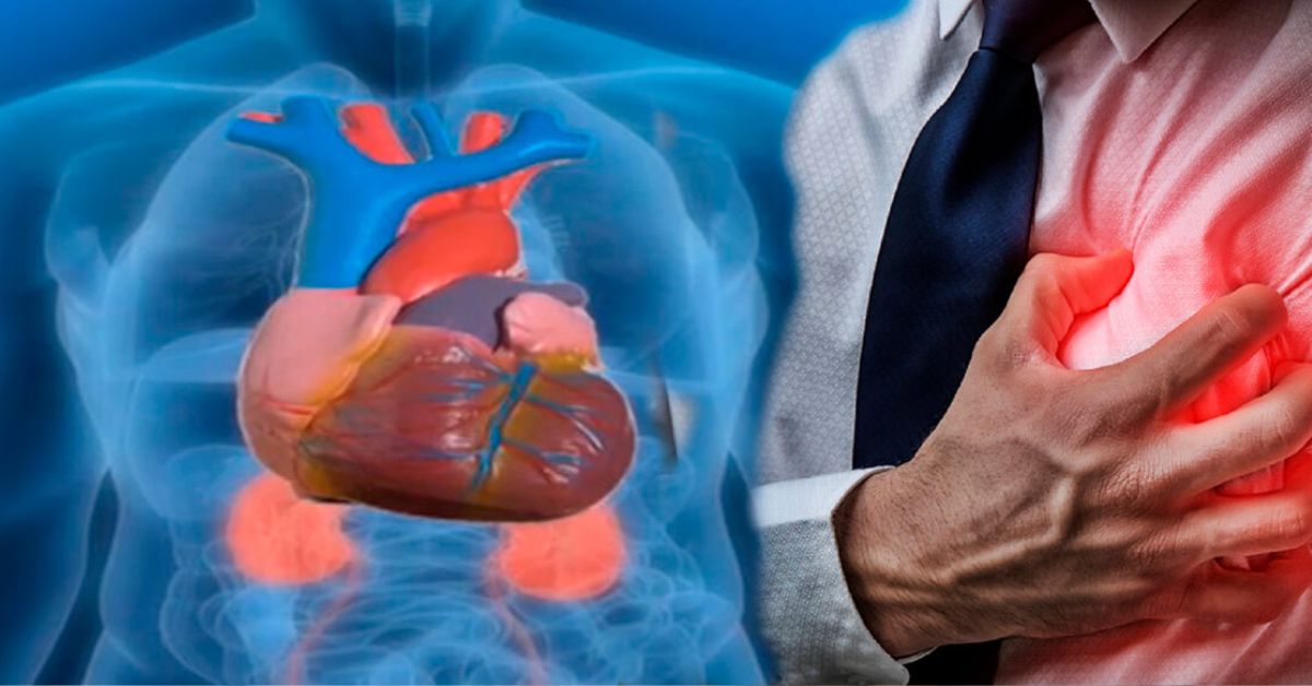Сердечные заболевания прием. Сердечно-сосудистые заболевания. Патология сердечно сосудистой системы.