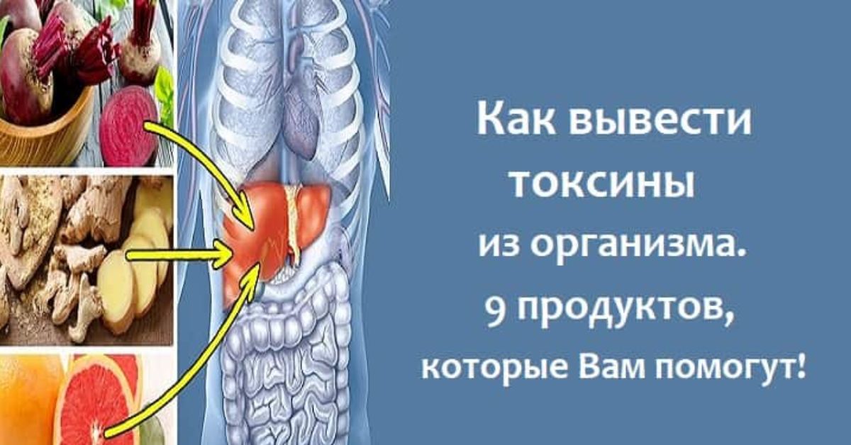 Продукты вызывающие токсины. Выведение токсических веществ из организма. Как вывести токсины. Выводить токсины из организма. Шлаки в организме вывести.