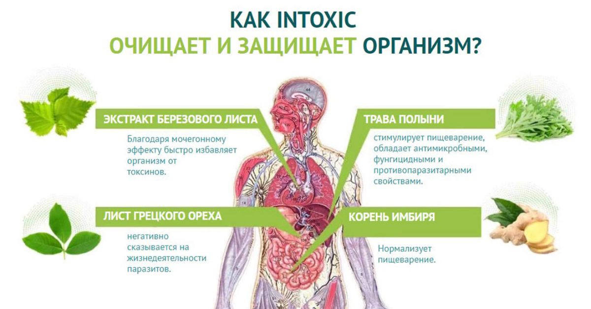 Как лечить токсины. Продукты от паразитов. Вывод паразитов из организма. Продукты для выведения глистов. Очищение организма от паразитов.