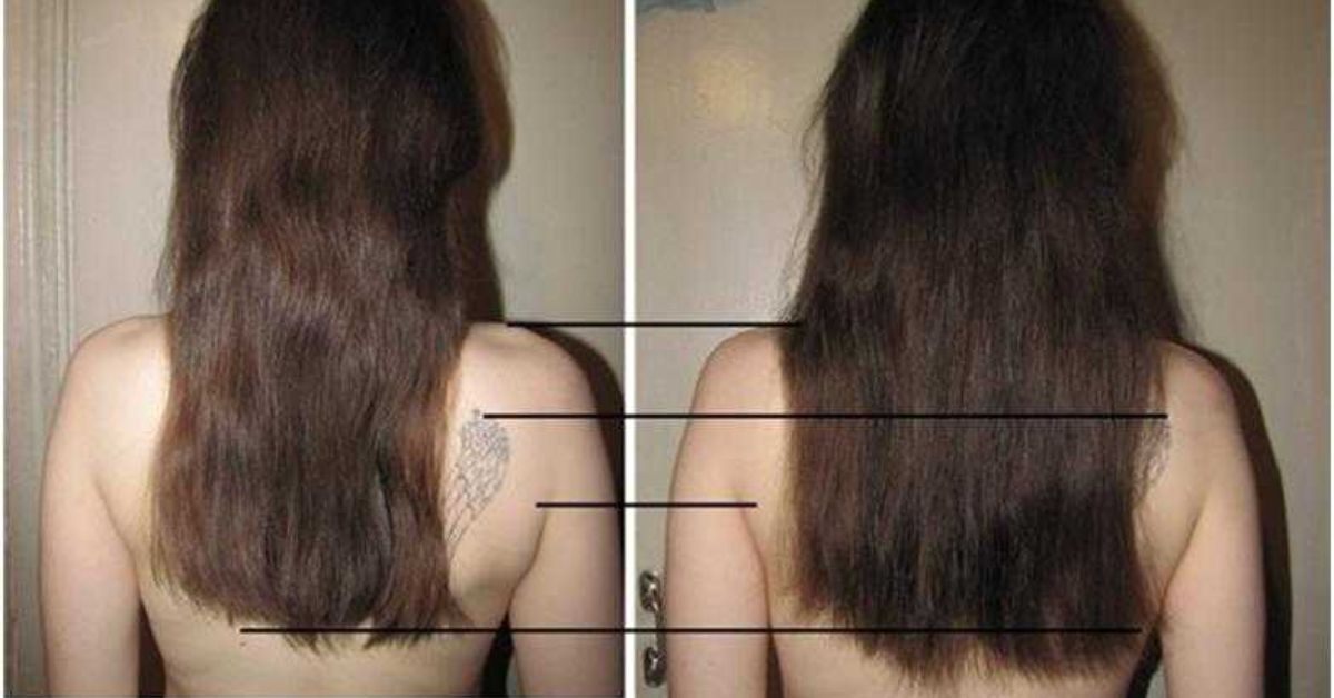 Как растут волосы после стрижки