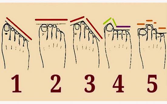 Բնավորությունն՝ ըստ ոտքերի ձևի