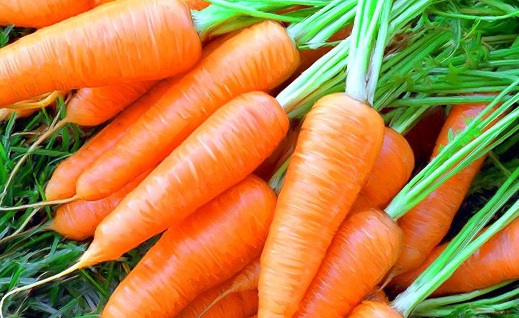 Միայն իմանաք, ինչ օգտակար է օգտագործել շոգեխաշած գազար