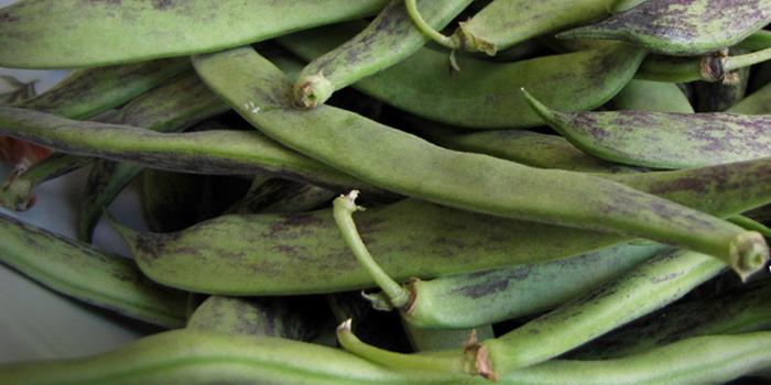 Լոբի․ Համեղ և օգտակար, բայց միևնույն ժամանակ ունի հակացուցումներ