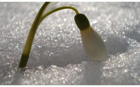 Օդի ջերմաստիճանը կնվազի 6-8 աստիճանով