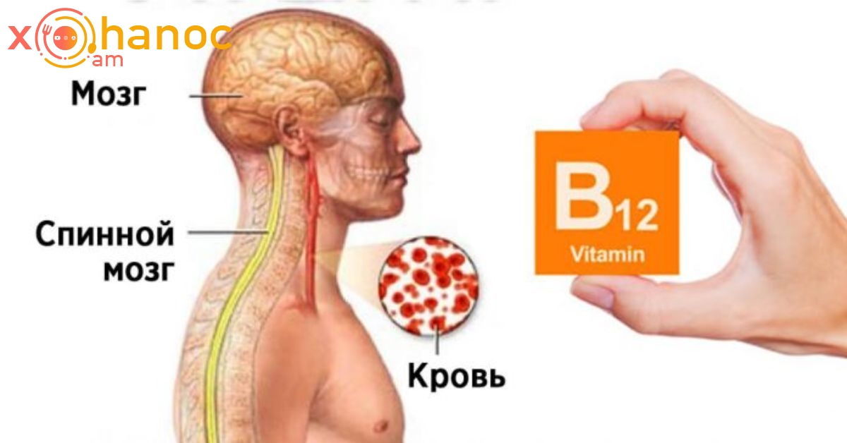 Իմացեք ողջ ճշմարտությունը վիտամին B12-ի մասին