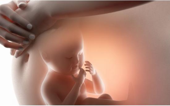 Բաներ, որ երեխան իմանում է մինչ ծնվելը ՝ մոր արգանդում գտնվելիս