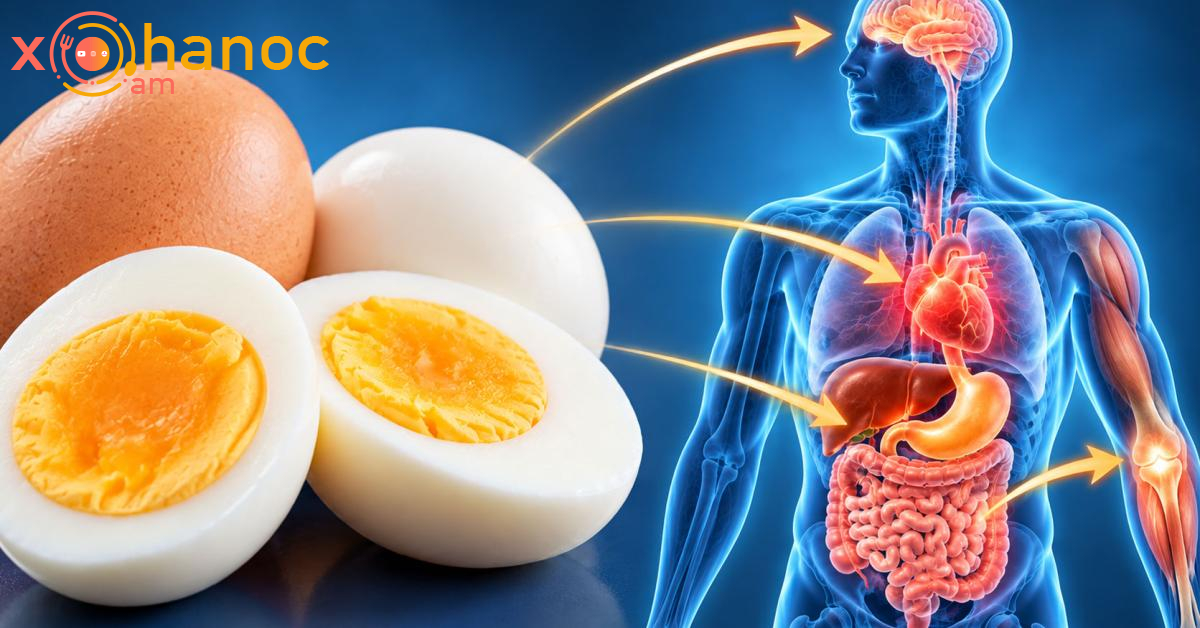Իրականում ձուն օգտակար է, թե ոչ․ Ահա այդ հարցի պատասխանը Իրականում ձուն օգտակար է, թե ոչ․ Ահա այդ հարցի պատասխանը