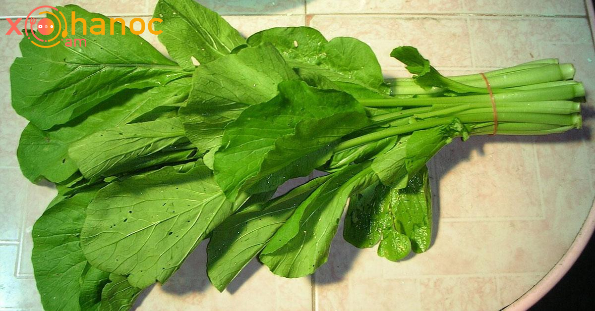 Ի՞նչ բույս է սա, եթե գիտեք ՝ գրեք․ Շատ քչերը գիտեն այս բույսի ճիշտ անունը