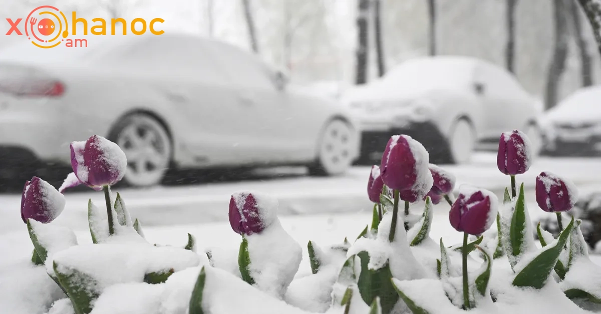 Մայիս ամիսն է, բայց ձյուն է գալիս․ Տեսանյութ