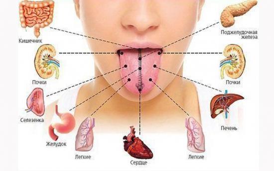 Լեզուն օրգանիզմի հայելին է