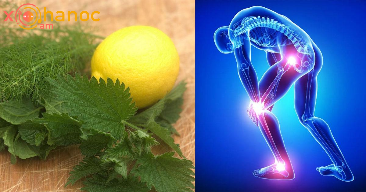 Կիտրոնը այս բույսի հետ կերեք և այն կվերացնի հոդերի ցավը ու կամրացնի ջլերը