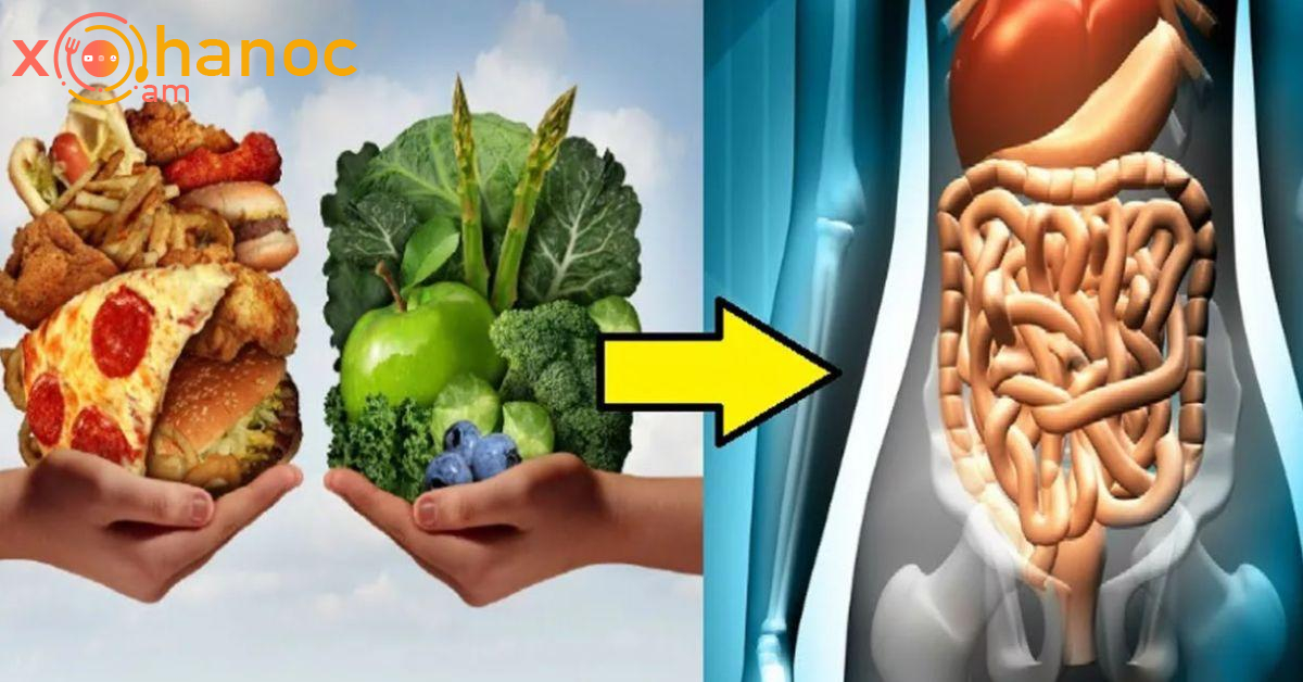 Աղիների համար ամենաօգտակար մթերքների ցանկը