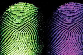 Ինչու՞ մենք ունենք մատնահետքեր. իսկապե՞ս դրանք եզակի են