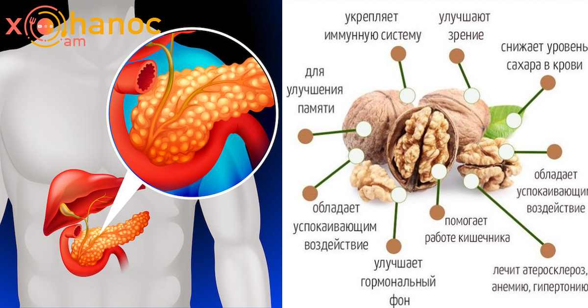 Տեսեք ինչ տեղի կունենա ձեր օրգանիզմի հետ, եթե օրական 2 հատ ընկույզ ուտեք