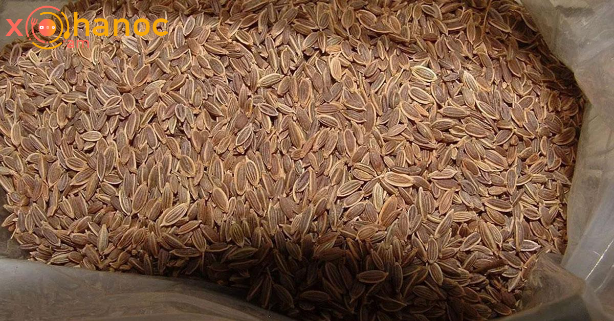 Այս սերմերը կօգնեն ձեզ նիհարել և նվազեցնել արյան շաքարը