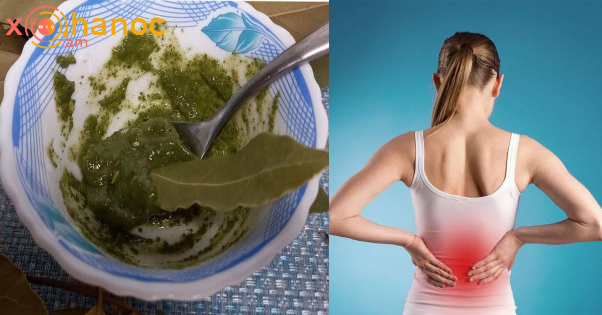 Դափնու տերևի միջոցով ազատվեք մեջքի ցավից․ Պարզապես այսպես օգտագործեք