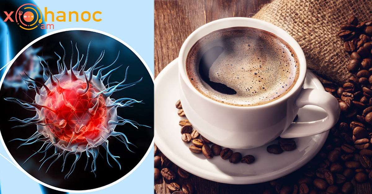 Ի՞նչ կապ ունեն սուրճը և քաղցկեղը․ Արդյո՞ք սուրճը նվազեցնում է քաղցկեղի առաջացման վտանգը