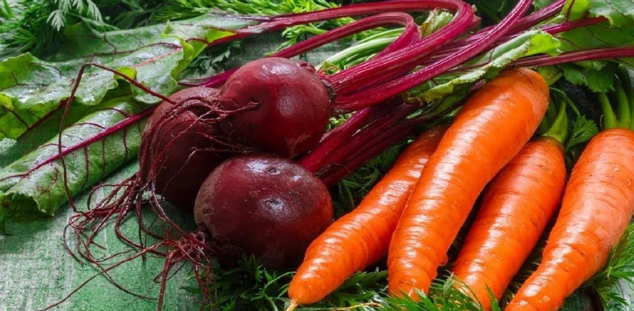 Բազուկը հարուստ է շատ վիտամիններով և բուժում է տարբեր հիվանդություններ, բայց ինչ կպատահի, եթե բազուկին ավելացնենք խնձոր ու գազար։