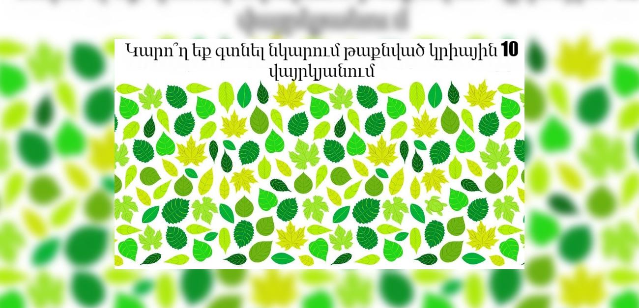 Այս պարզ թեստը ցույց կտա արդյո՞ք դուք իսկական ինտրավերտ եք, թե ոչ․ Կարո՞ղ եք գտնել նկարում թաքնված կրիային 10 վայրկյանում