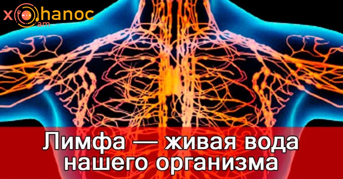 Այդպես է տարածվում քաղցկեղը. Այս տեղեկատվությունը ձեզ մտածելու շատ բան կտա: Սա շատ կարևոր է, բաց մի՛ թողեք