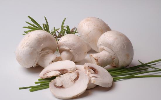 Սնկեր. Որոշ տեղեկություններ դրանց բուժիչ հատկությունների մասին