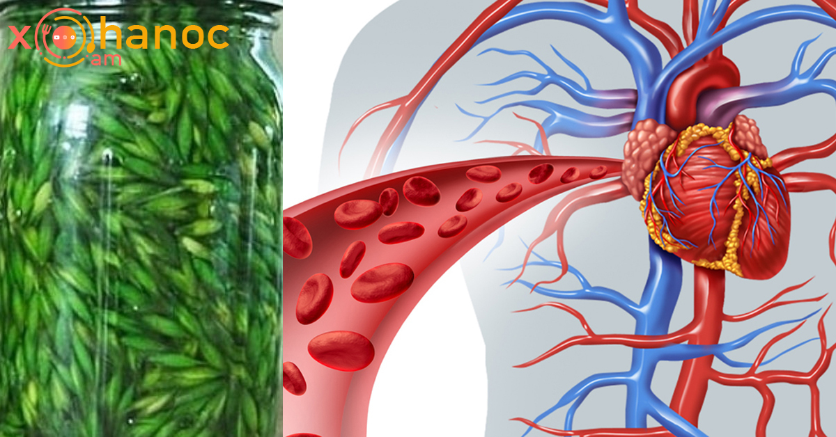 Այս բնական միջոցը վերականգնում է արյան անոթների առաձգականությունը