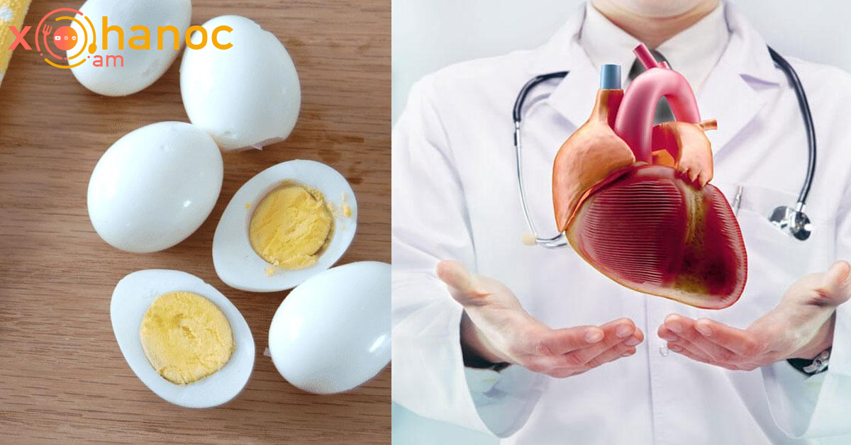 Ձուն վնասակար է սրտին, թե՞ ոչ․ Ահա բժշկի պատասխանը