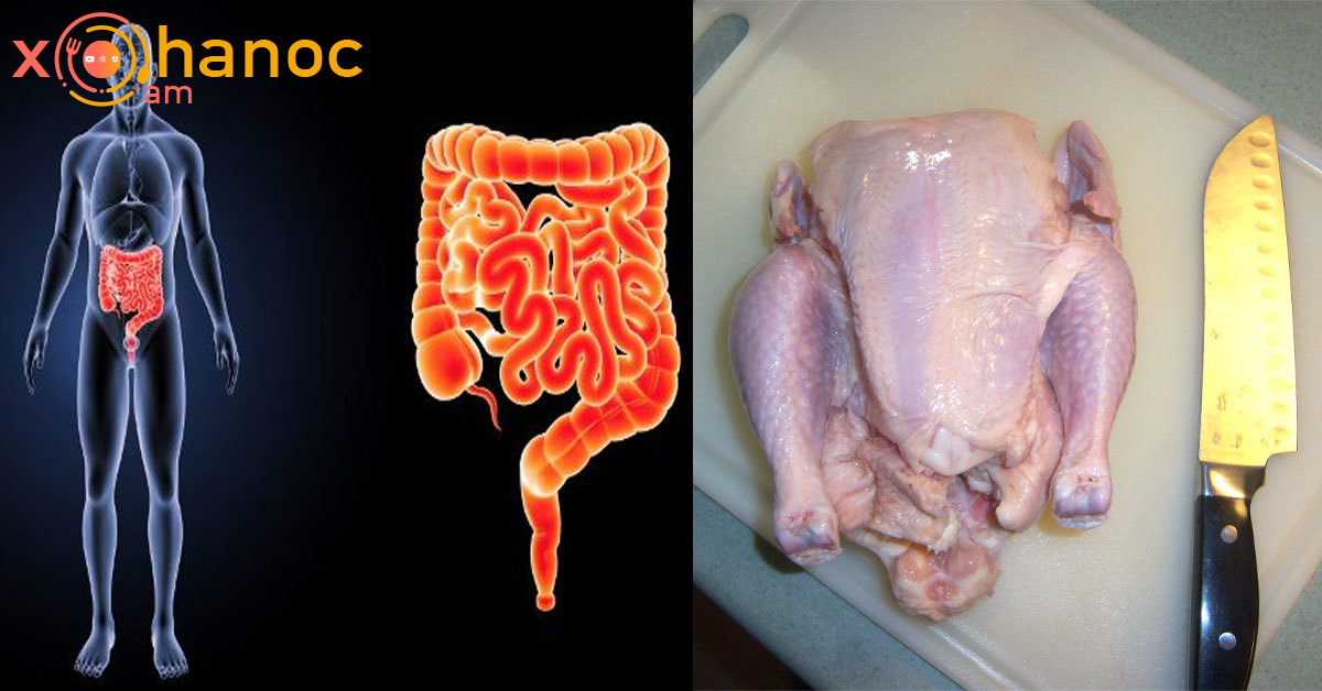 Տեսեք ինչ է կատարվում ձեր աղիների հետ, երբ ամեն անգամ հավի միս եք ուտում