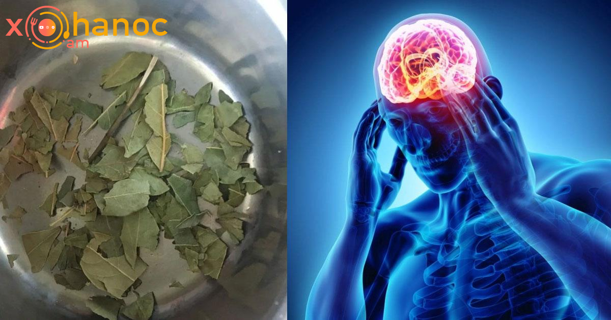 Այս տերևների շնորհիվ կազատվեք վարիկոզից, հիշողության կորստից և գլխացավերից