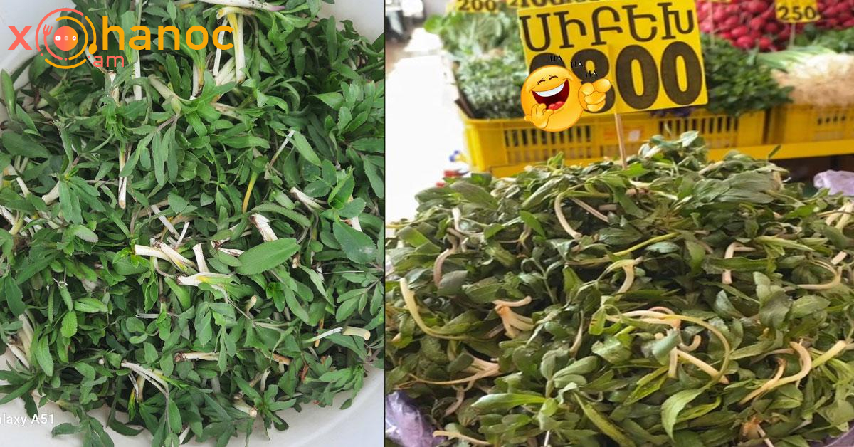 Տեսեք ինչ արժե 1 կգ սիբեխը․ Գինը տեսնեք, չեք հավատա ձեր աչքերին