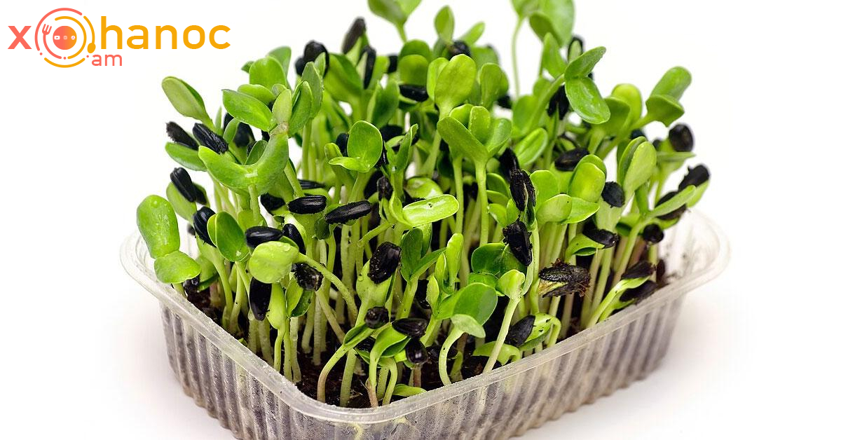 Սա քաղցկեղի դեմ բնական միջոց է․ Այն այնքան հզոր է, որ կարող է փրկել հիվանդին 