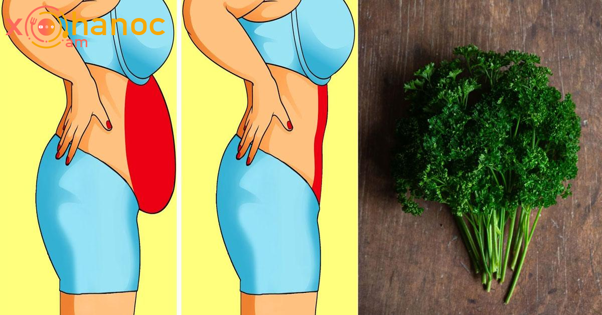 Այս բույսի շնորհիվ կնիհարեք 5-8 կգ և կազատվեք կախված փորից