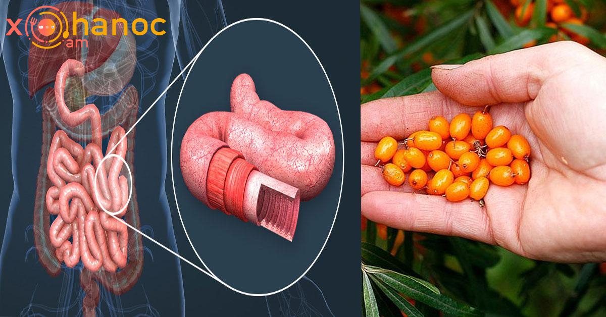 Բնական բաղադրատոմս, որը կբուժի ձեր աղիները ու կլինեք առողջ