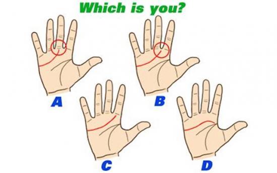 Ձեռքի գծերի նշանակությունը