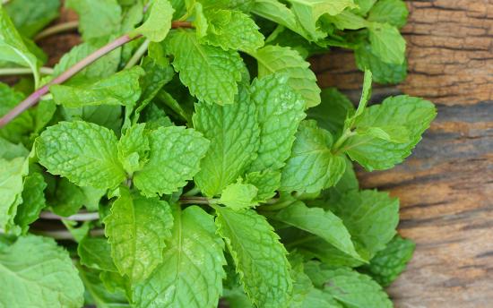 Պատճառներ, որոնք իմանալուց հետո կսկսեք անանուխը գրեթե ամեն օր  օգտագործել