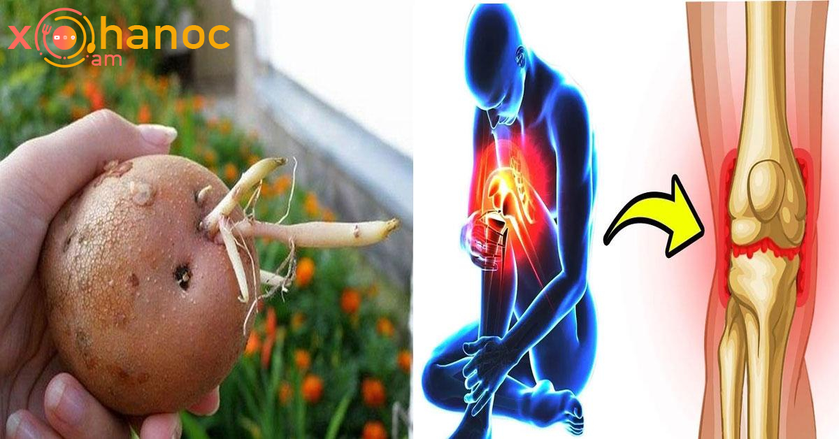 Այս բանջարեղենի ծիլերը բուժում են հոդերը և ամբողջությամբ վերացնում ցավը