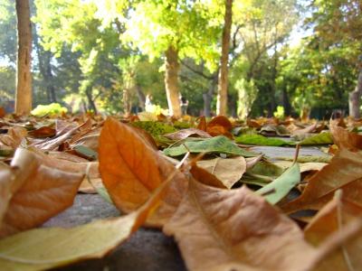 Հանրապետությունում տեղումների և եղանակի մասին