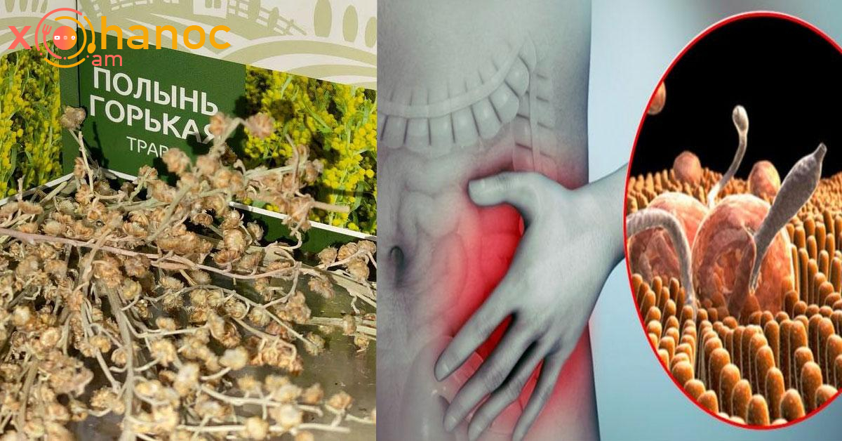 Սա ճիճուներից և մակաբույծներից ազատվելու լավագույն և ապացուցված բնական միջոց է