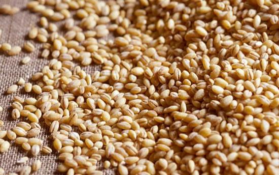 Գարի. բուժիչ հատկությունները