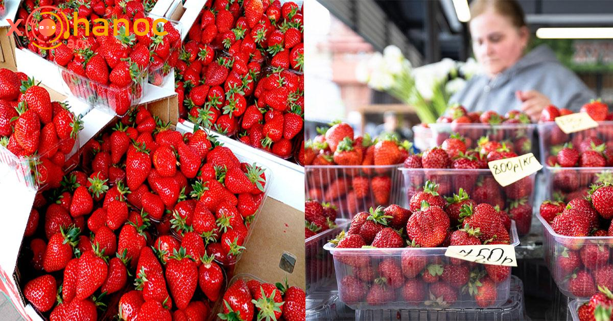 Տեսեք ի՞նչ արժե 1 կգ ելակը Երևանում և մարզերում․ Գները զարմացնում են