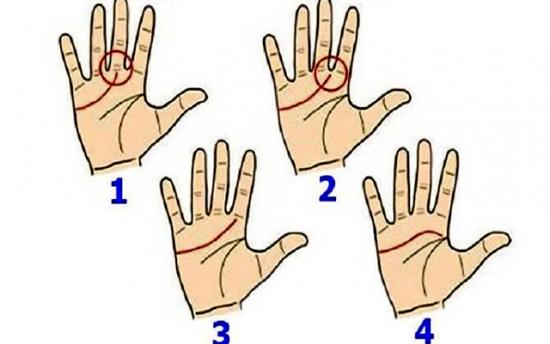 Ինչ կարող է պատմել ափի վրայի սրտի գիծը ձեր կյանքի մասին