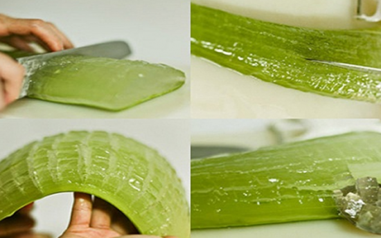 Ալոէ վերան հրաշք է