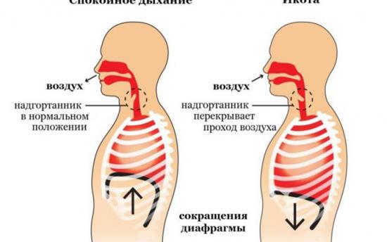Ինչպես հեշտ և արագ ազատվել զկրտոցից