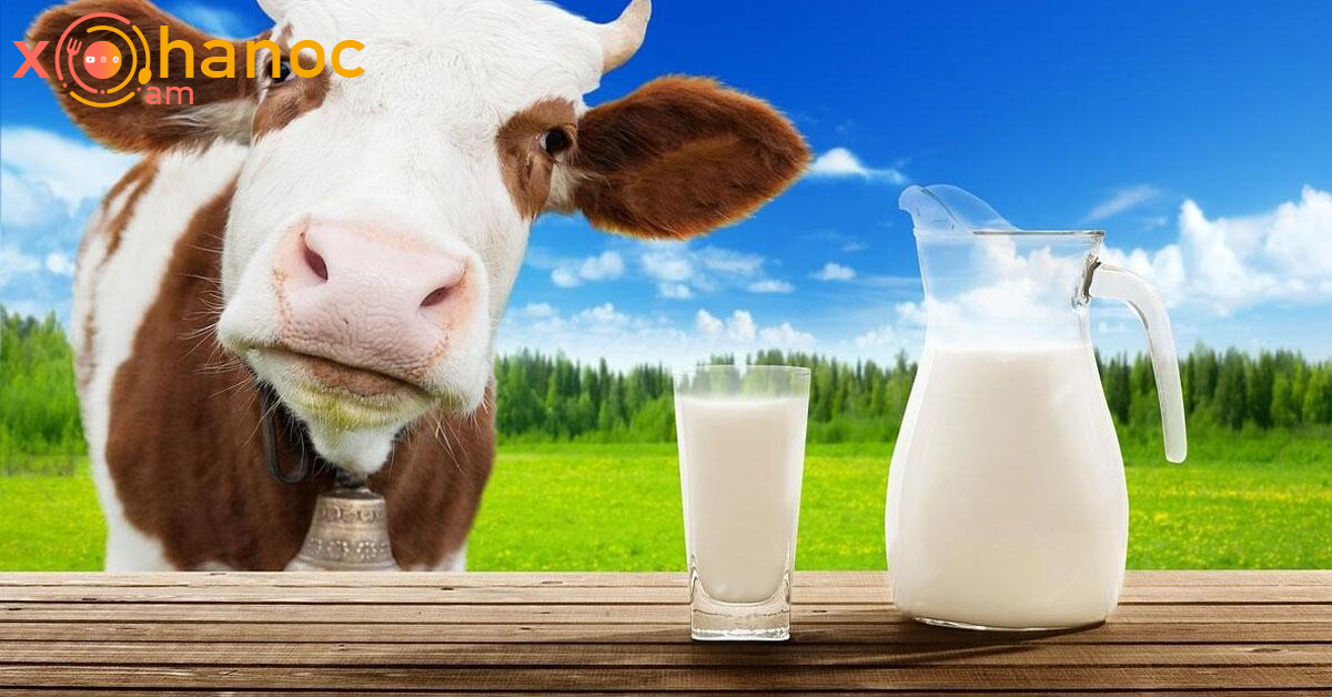 Կաթի մասին 7 գաղտնիք, որորնք շատերը չգիտեն և խմում են այն Կաթի մասին 7 գաղտնիք, որորնք շատերը չգիտեն և խմում են այն