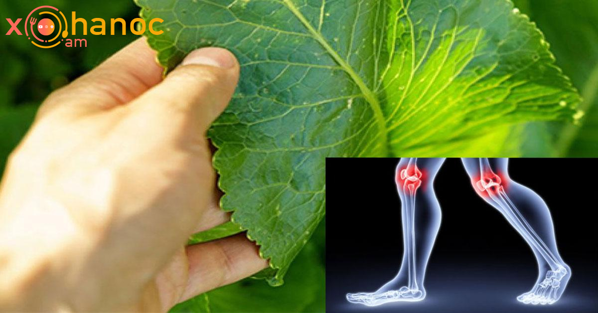 Եթե ծնկներդ ցավում են, կիրառեք այս բաղադրատոմսերը և հանգիստ կքնեք ու այևս չի ցավա Եթե ծնկներդ ցավում են, կիրառեք այս բաղադրատոմսերը և հանգիստ կքնեք ու այևս չի ցավա