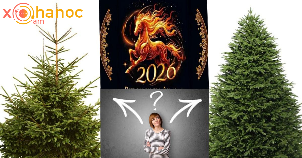 Արհեստական, թե բնական տոնածառն էր ճիշտ տեղադրել 2026 թվականը դիմավորելիս․ Կզարմանաք պատասխանից