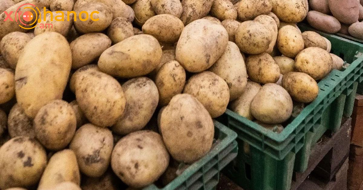 Տեսեք 1 կգ կարտոֆիլի գինը ինչքան է դարձել․ Աչքերիս չէի հավատում, երբ արժեքը տեսա
