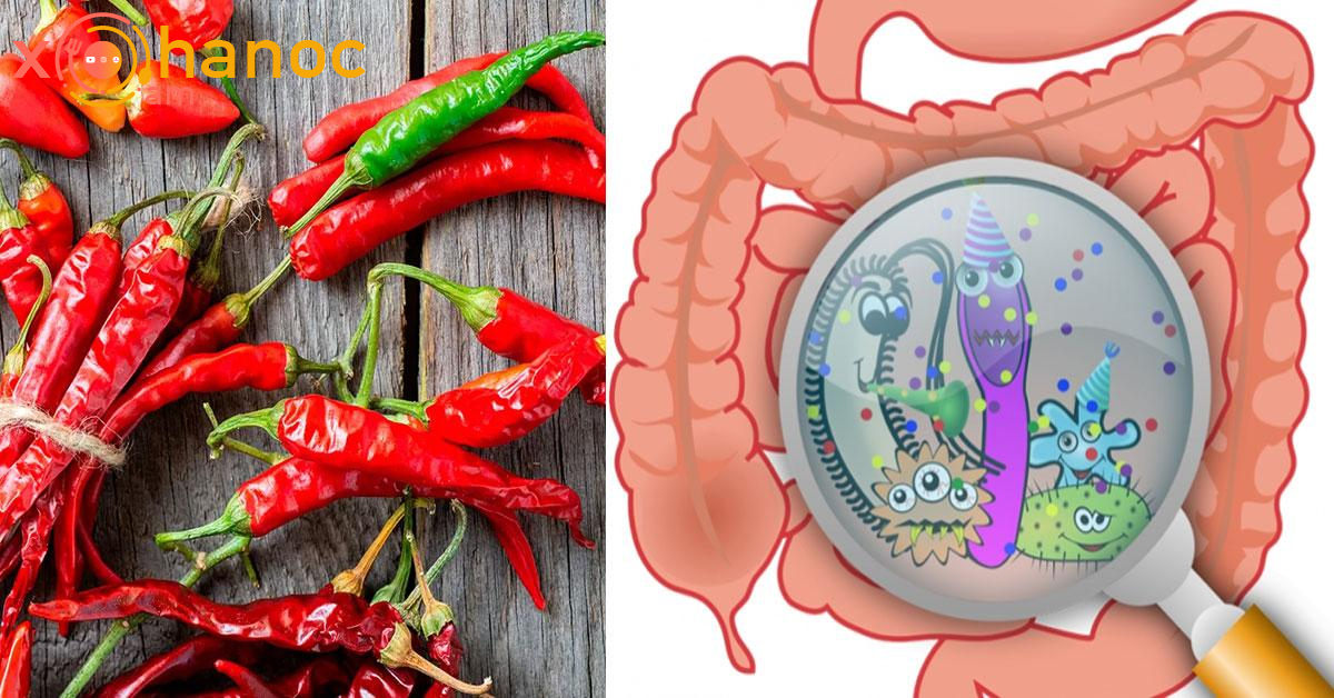 Կծու սնունդը օգտակար է, թե՞ վնասակար․ Վերջապես գիտենք այս հարցի պատասխանը