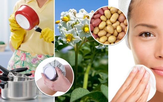 Ինչպես օգտագործել կարտոֆիլը բուժման համար։ Այն ձեզ կզարմացնի